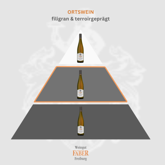 Preview: Weissburgunder Kabinett trocken Freiburger Steinler // 